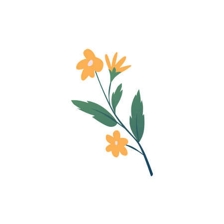 Calendula or marigold flower flat vector icon, beautiful blossom orange daisy flower on a stem, aromatherapy herb plantのイラスト素材