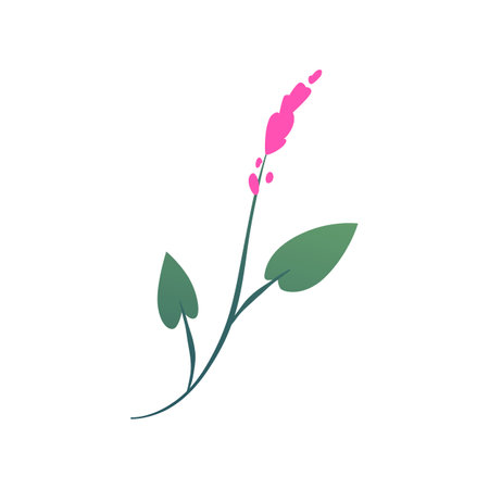 Pink flower flat vector icon, beautiful blossom flower with leaves on a stem, medical herb, aromatherapy plantのイラスト素材