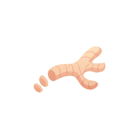 Fresh ginger root with slices flat vector icon, aromatic spice, natural condiment, medicinal fragrant herb, aromatherapyのイラスト素材