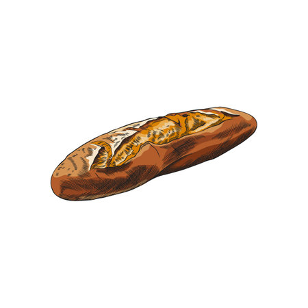 Watercolor vector illustration of french loaf, hand sketch.のイラスト素材