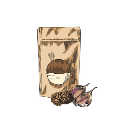 Vector watercolor sketch of ground and dried nutmeg packaging with garlic cloves.のイラスト素材