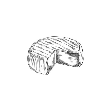 Monochrome sketch of round camembert cheese, vector hand drawn outline illustration.のイラスト素材