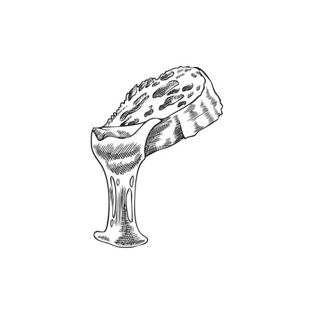 Melted cheese on bread slice vector sketch, engraved hand drawn national dish, dripping cheese on toast, hot sandwichのイラスト素材