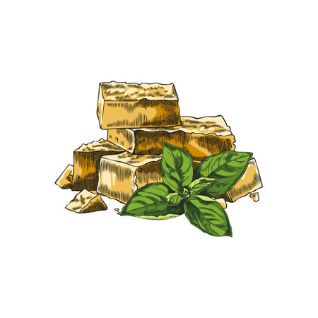 Cheese parts sketch, parmesan brick pieces with basil leaves, milk food production, hand drawn vector healthy snackのイラスト素材