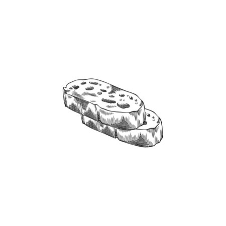 Bread slices vector sketch, engraved hand drawn wheat loaf bakery two pieces, fresh ruddy toast, sandwich ingredientのイラスト素材