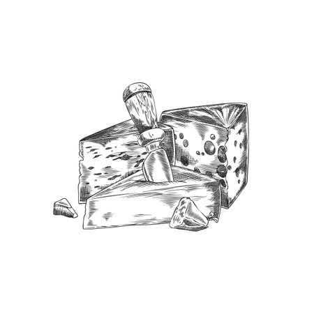 Composition of different cheeses with cheese knife vector sketch, engraved hand drawn emmental, edam, gruyere parmesanのイラスト素材