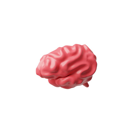 3D realistic model of human brain, vector render pink cerebrum isolated, volume intellect organ,...