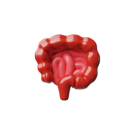 3D vector illustration of human intestine, digestive system.のイラスト素材