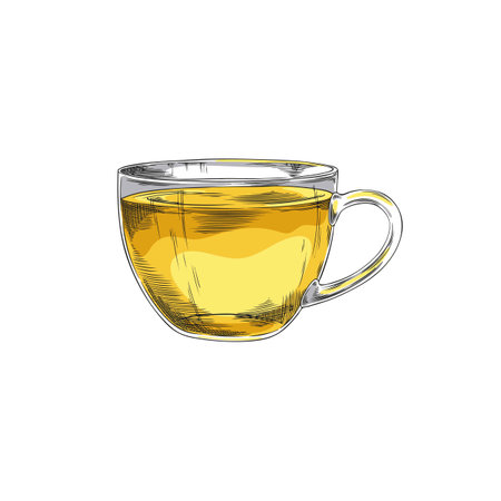Glass cup of tea sketch icon, vector hand drawn transparent mug with natural drink, brewing herbal beverage tea ceremonyのイラスト素材