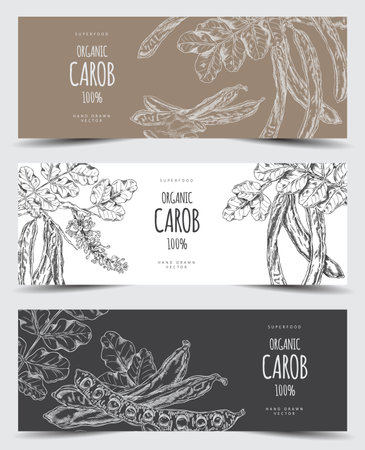 Carob tree bean pods, flowers and leaves, seeds and powder sweetener plant product, hand drawn engraved label vector setのイラスト素材