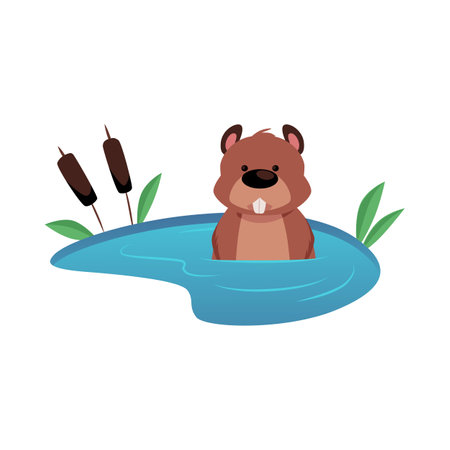 Cute vector beaver in a pond, rodent with protruding teeth.のイラスト素材