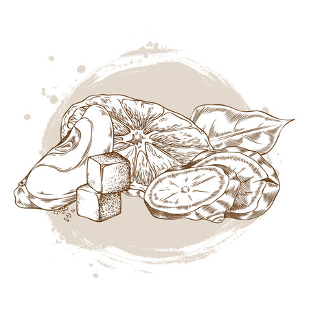 Ginger root slices, cane sugar cube, laurel leaf, apple and orange pieces engraved sketch, vector Mulled wine ingredientのイラスト素材