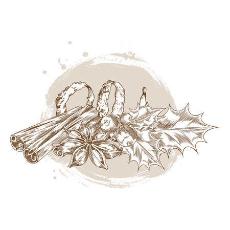 Rolled sticks of cinnamon, mistletoe berries, orange peel and anise star engraved sketch, vector mulled wine ingredientのイラスト素材