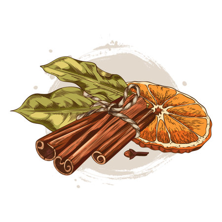 Rolled sticks of cinnamon, clove star, laurel leaves and orange slice sketch vector composition, mulled wine ingredientsのイラスト素材