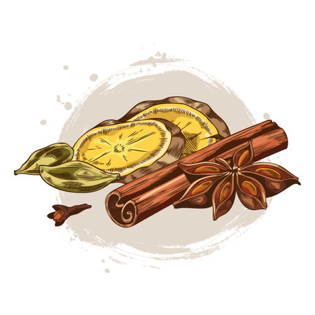 Rolled sticks of cinnamon, ginger slices, anise and clove star spices sketch vector composition, Mulled wine ingredientsのイラスト素材