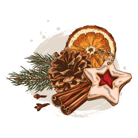 Cinnamon sticks, clove star, orange slice, pine cone and branch with wooden star tag sketch vector compositionのイラスト素材