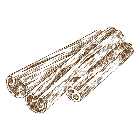 Cinnamon sticks in monochrome vector sketch, hand drawn.のイラスト素材