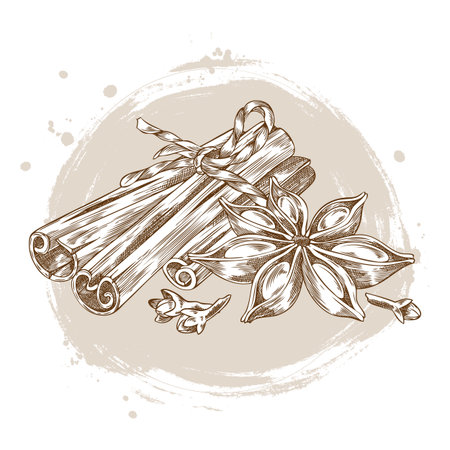 Rolled sticks of cinnamon, anise and clove star seeds spices engraved sketch vector composition, Mulled wine ingredientsのイラスト素材