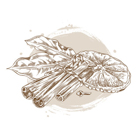 Cinnamon sticks, bay leaves, cloves, orange piece, monochrome hand sketch.のイラスト素材
