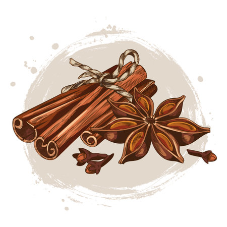 Rolled sticks of cinnamon, anise and clove star seeds spices sketch vector composition, Mulled wine ingredientsのイラスト素材
