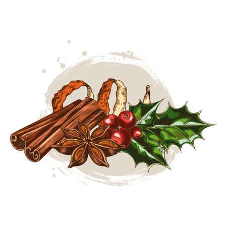 Cinnamon rolled sticks, mistletoe berries, orange peel and anise star sketch, vector hand drawn mulled wine ingredientのイラスト素材