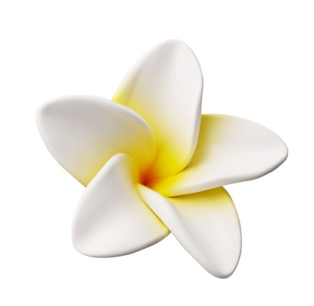A 3D icon of a white plumeria flower with a yellow center, an exotic tropical plant.のイラスト素材