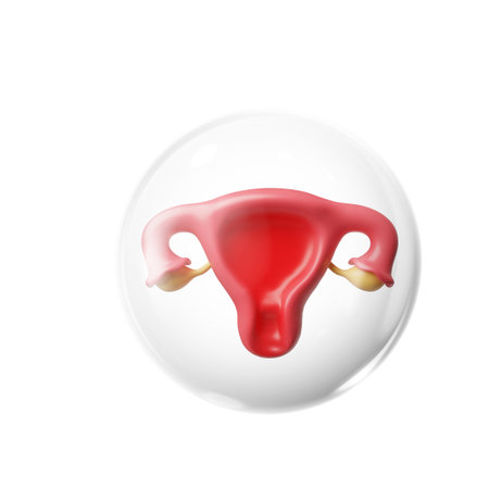 3D female reproductive organs in a protective transparent bubble.のイラスト素材