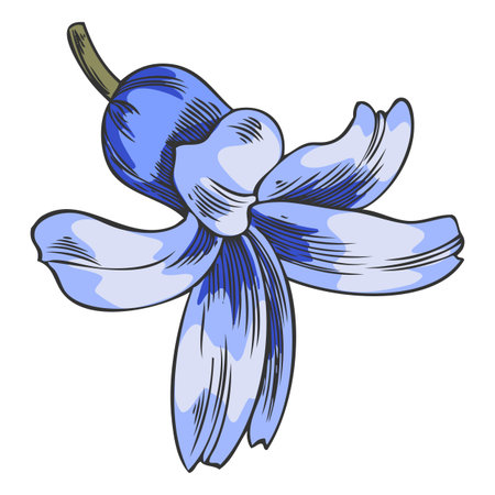 Hyacinth flower sketch, vector hand drawn spring blue bell-shaped bud blossom plant, blooming herb, botanical designのイラスト素材