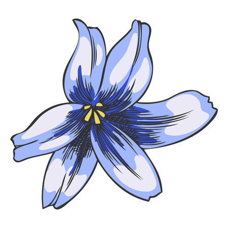 Blue hyacinth flower, hand-drawn, vintage outline, watercolor style.のイラスト素材