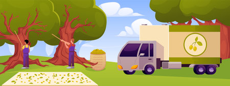 Olive harvesting process, with characters, a truck, and trees.のイラスト素材