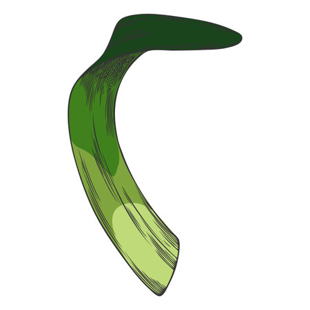 Hyacinth flower green leaf sketch vector icon, hand drawn spring plant, grass herb foliage, botanical designのイラスト素材