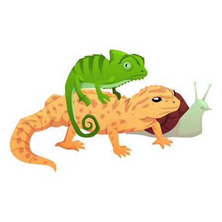 Exotic reptile animal pets, cartoon chameleon, iguana, salamander, lizard crawling mammals, vector flat snailのイラスト素材