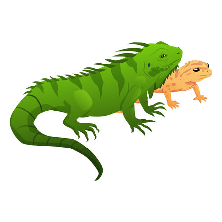 Green iguana and yellow lizard icon, standing next to each other, exotic pets.のイラスト素材
