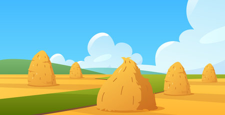Haystacks in fields vector flat illustration, cartoon bale of hay straw barn and cone hayloft on autumn nature landscapeのイラスト素材