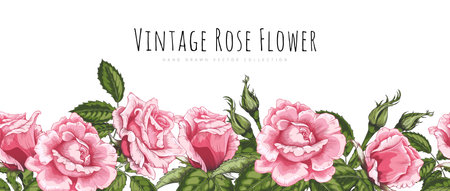 Banner with vintage pink roses and green leaves, along a seamless bottom border.のイラスト素材