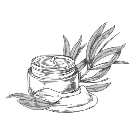 Monochrome sketch of a body cream jar with tea tree leaves, hand-engraved.のイラスト素材