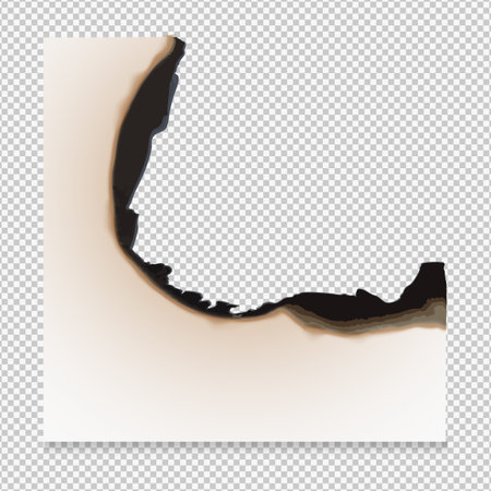 Paper burnt piece with charred corner edge, cardboard sheet side with ash realistic vector on...