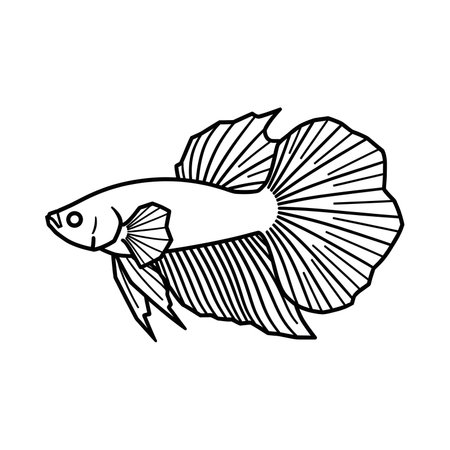 An elegant hand drawn illustration of a Betta fish in profile. The simple black line art highlights its beautiful flowing fins and tail, isolated on a white background.の素材