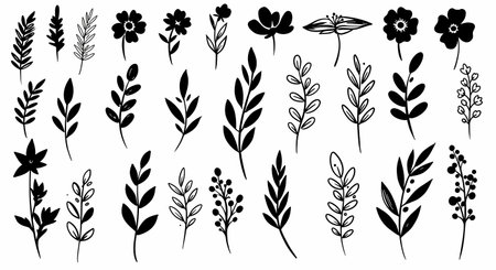 A collection of hand-drawn botanical illustrations featuring various flowers, leaves, and branches in a minimalist black and white style. Perfect for design elements, patterns, or decorative accents.の素材