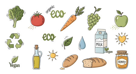 Hand drawn illustrations of various organic foods including vegetables, fruits, dairy, bread, and honey. Includes symbols for eco-friendly and vegan products.のイラスト素材
