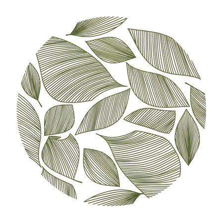 A minimalist and elegant hand-drawn illustration featuring various green leaves arranged in a circular pattern, showcasing delicate line work and a natural aesthetic.のイラスト素材