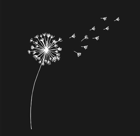 Hand drawn white dandelion, dandelion with flying seeds in doodle style. Vector illustratin for fabric, card design or baby clothings.のイラスト素材