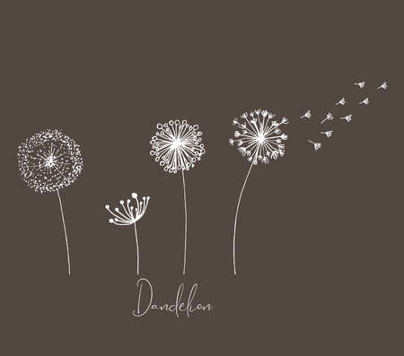 Hand drawn set of white dandelion, dandelion with flying seeds in cute doodle style. Vector illustratin for fabric, card design or baby clothings.のイラスト素材