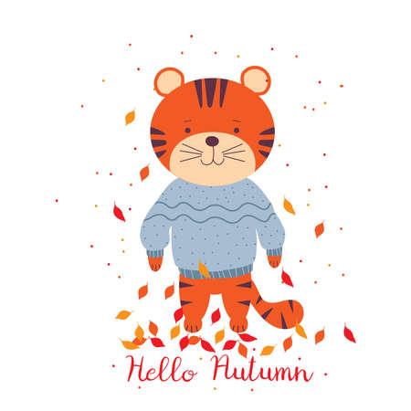 Hello Autumn. Tiger cubs in a blue sweater in falling autumn leaves. Flat style. Vector illustration of cute cartoon tiger on a white background for cards, print or poster.のイラスト素材