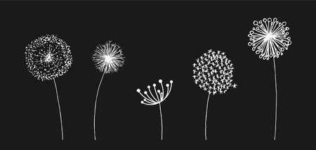 Hand drawn set of white dandelion in cute doodle style. Vector illustratin for fabric, print, pattern, card design or baby clothings, design element.のイラスト素材