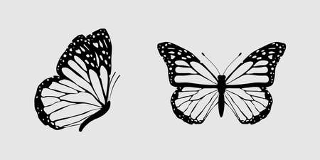 Black flying butterflies contour set isolated on gray background. Vector illustration for patterns, prints.のイラスト素材