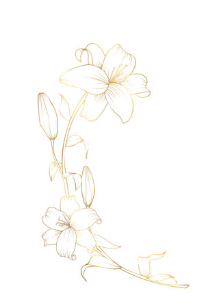 Hand drawn golden lily flower semicircle wreath composition.のイラスト素材