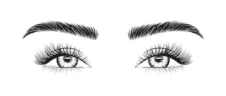 Woman's sexy makeup look with perfectly shaped eyebrows and lashes bottom view. Vector illustration for business visit card, typograph, print. Perfect salon look. Brows and lashes lamination.のイラスト素材
