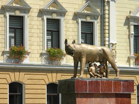 Mother wolf with Remus and Romulus in front of the new Brasov city hall.の写真素材