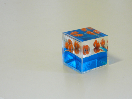 Orange fish in cube.の写真素材